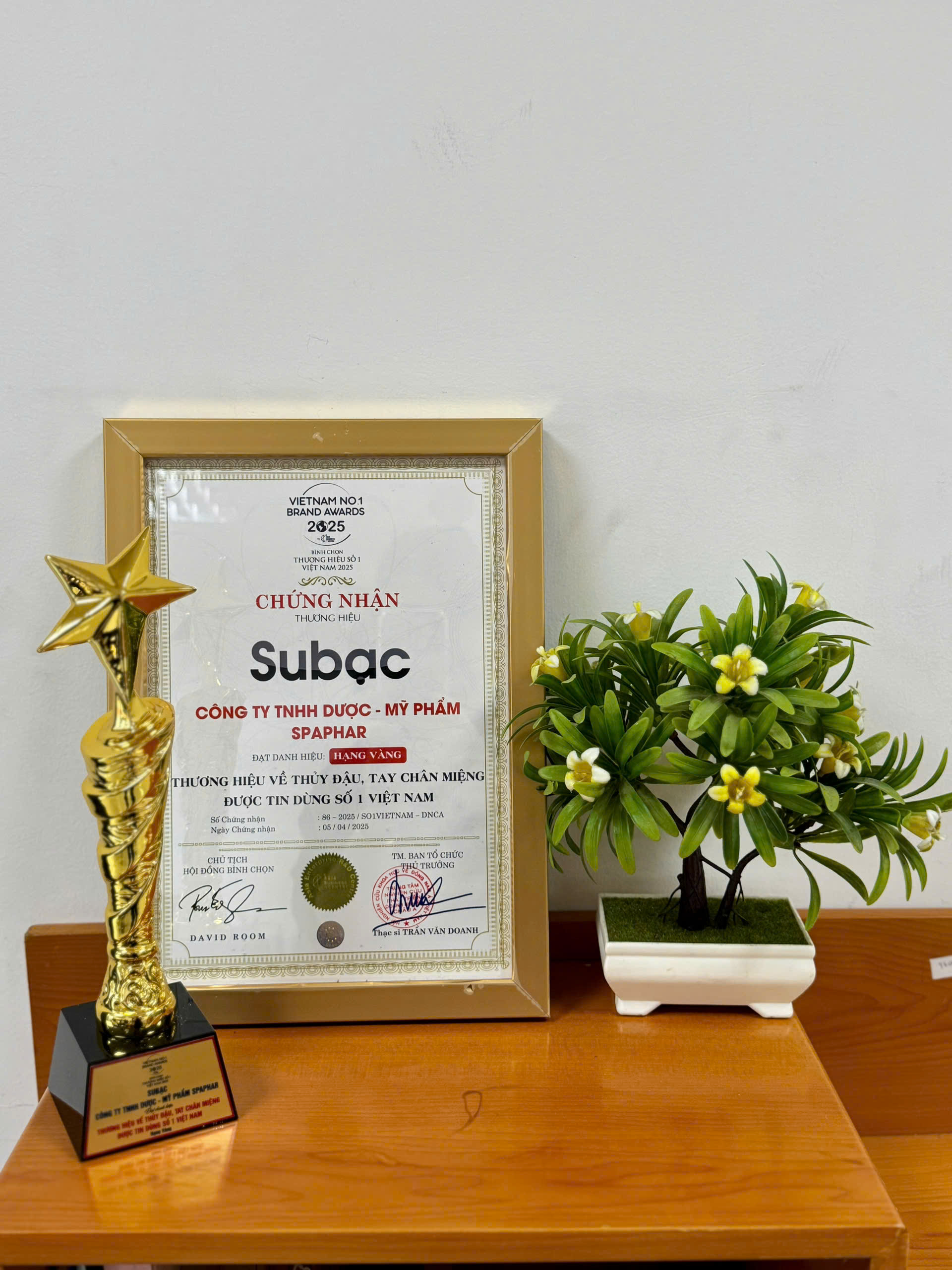sb thuonghieuso1.jpg